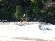 SpringCreek 5